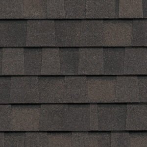 CertainTeed Landmark Pro Espresso Algae Resistant Architectural Roof Shingles (33.33 sq. ft. per. bdl)– 22 pcs